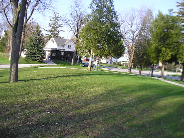 Me chasing a squirrel up a tree.